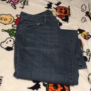 Loft Curvy Bootcut Jeans 14